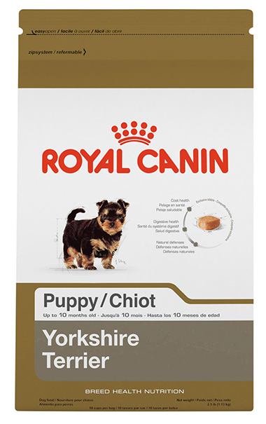 Croqueta Yorkshire Terrier Puppy 29
